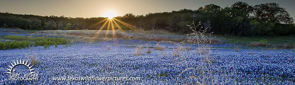 Texas Landscape Photography